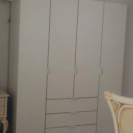 червона ружа Uzhhorod